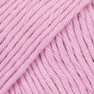 70 kirsebærblomst thumbnail